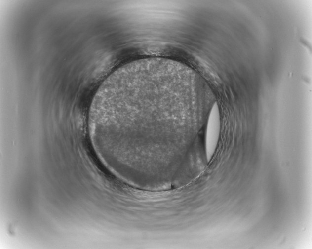 X0000093160031200710241028