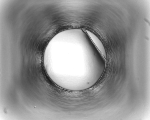 X0000093160032200710241028