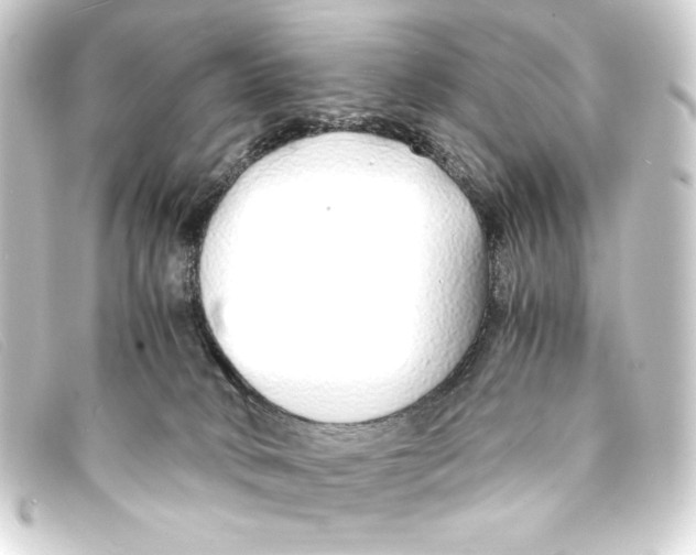 X0000093160034200710241028