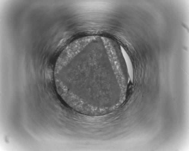 X0000093160035200710241028