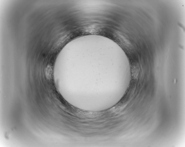 X0000093160036200710241028