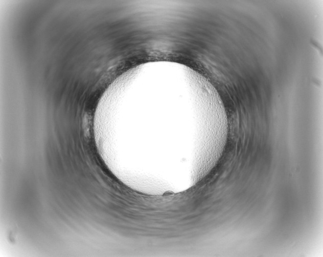 X0000093160038200710241028