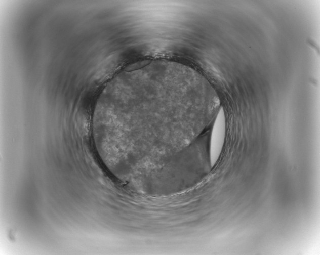 X0000093160039200710241028
