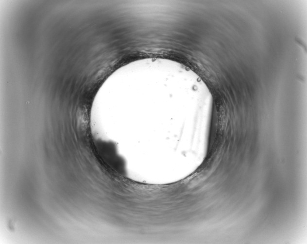 X0000093160040200710241028