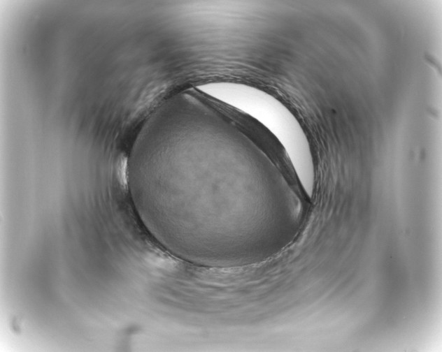 X0000093160041200710241028