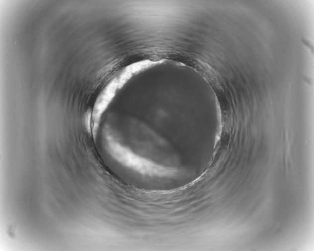 X0000093160047200710241028
