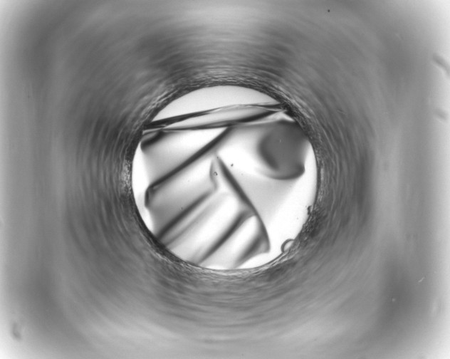 X0000093160048200710241028