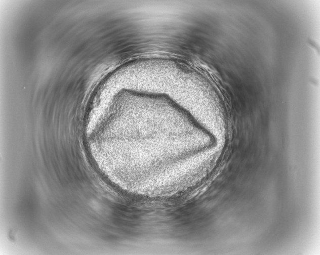 X0000093160049200710241028