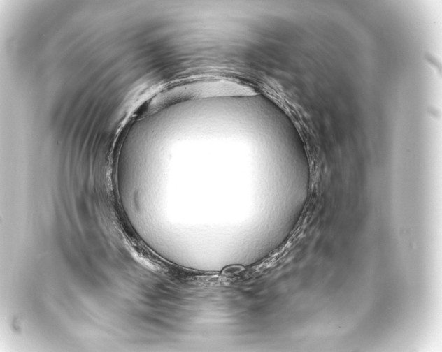 X0000093160050200710241028