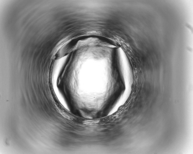 X0000093160051200710241028