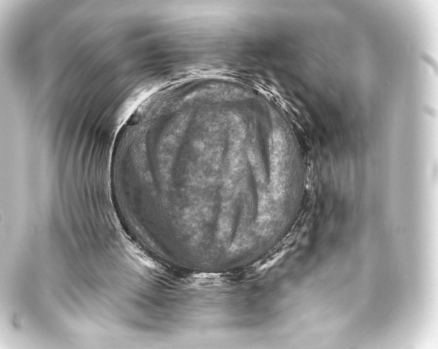 X0000093160052200710241028
