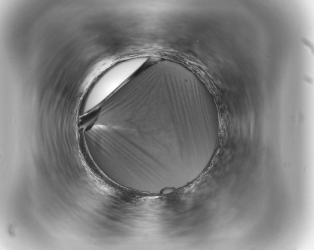 X0000093160054200710241028