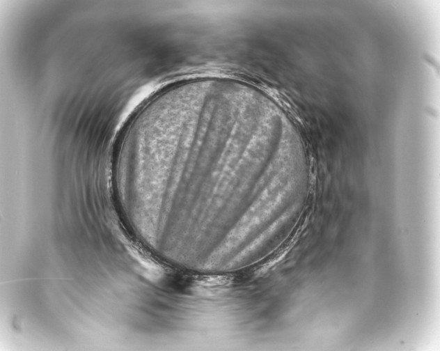 X0000093160056200710241028