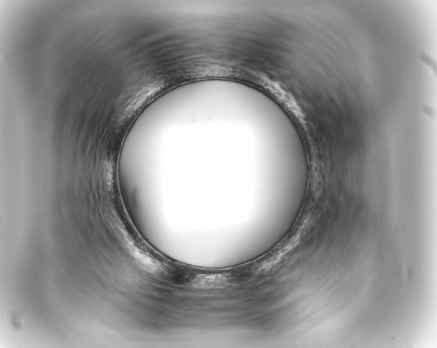 X0000093160057200710241028