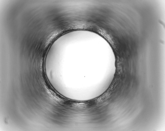 X0000093160058200710241028