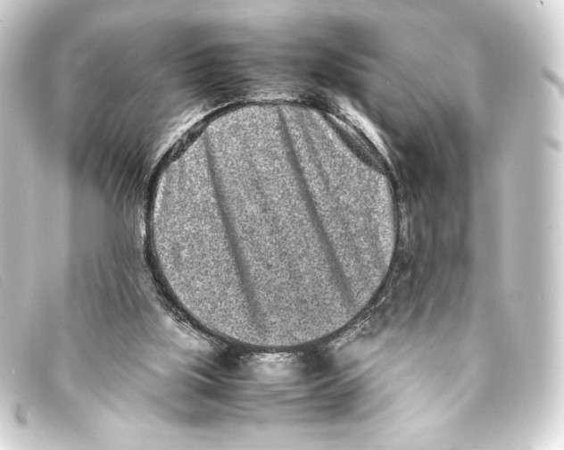 X0000093160059200710241028