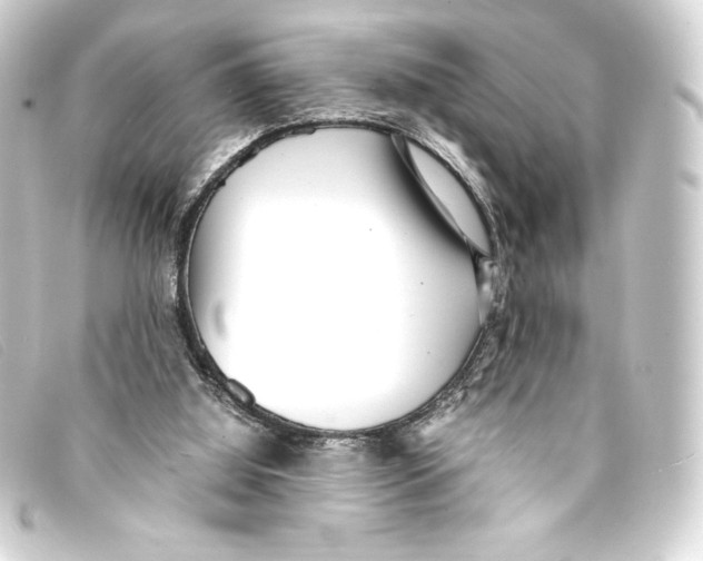 X0000093160060200710241028