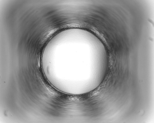 X0000093160062200710241028