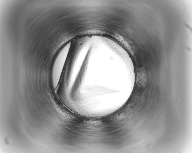 X0000093160063200710241028
