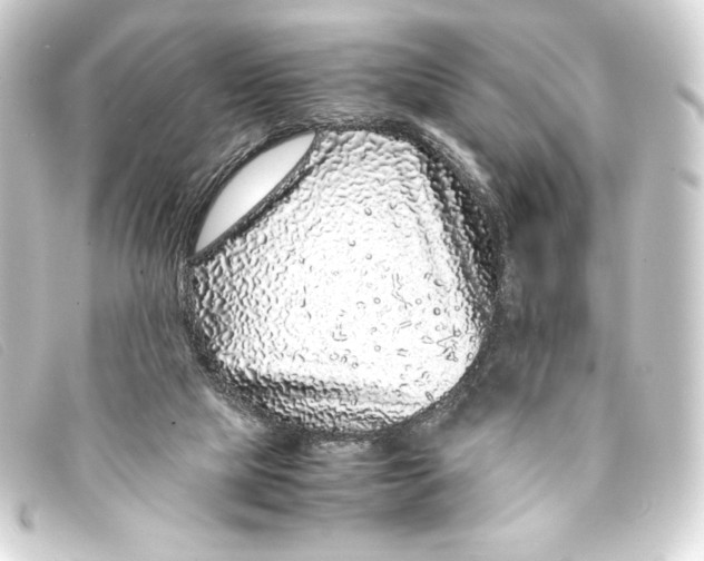 X0000093160065200710241028