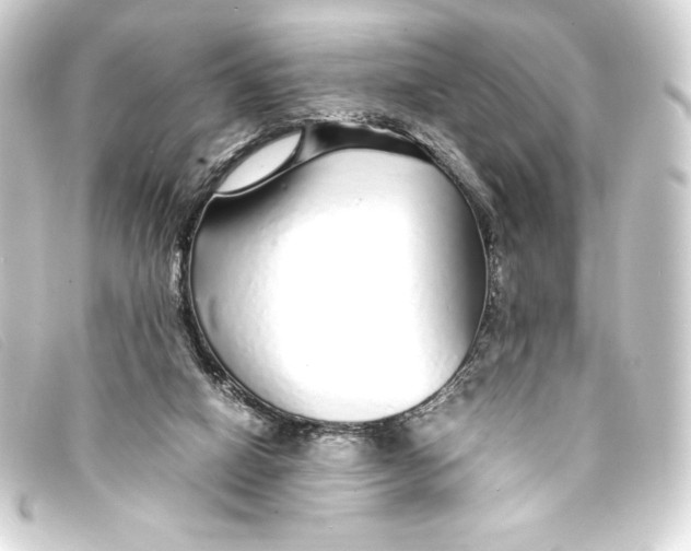 X0000093160066200710241028