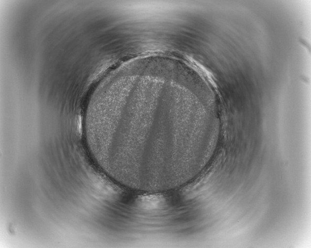 X0000093160067200710241028
