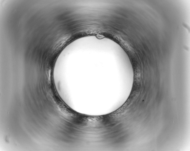X0000093160070200710241028
