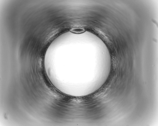 X0000093160071200710241028