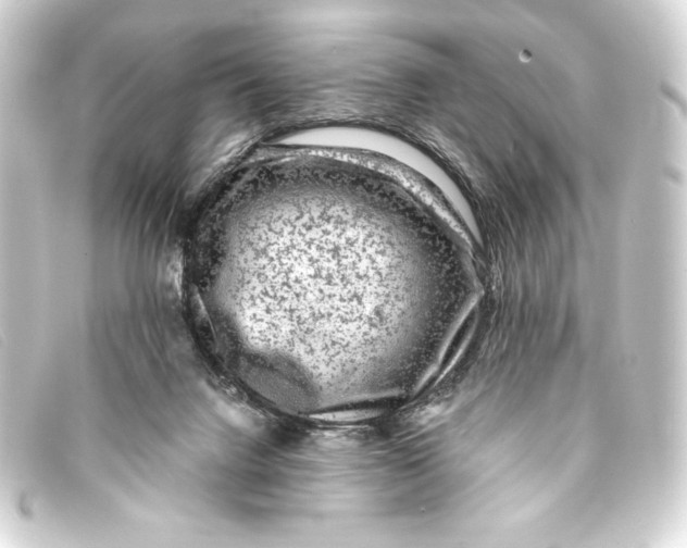 X0000093160072200710241028