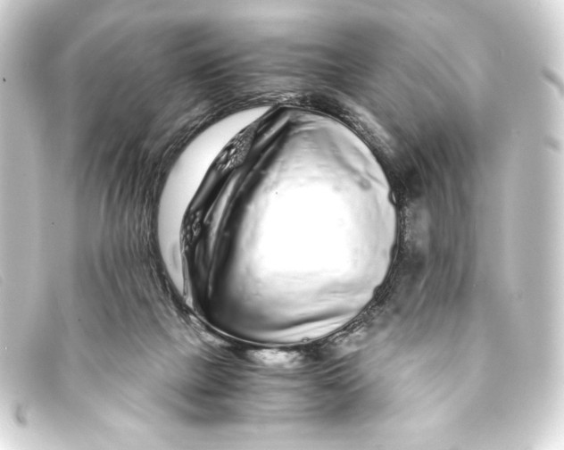 X0000093160073200710241028