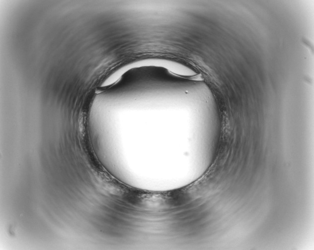 X0000093160074200710241028