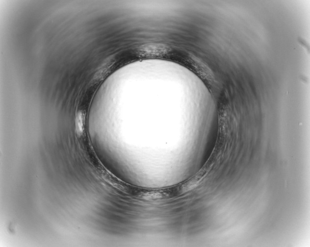 X0000093160075200710241028