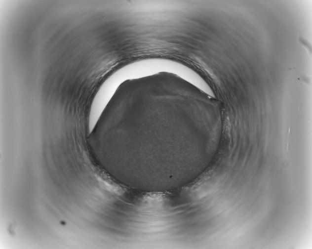 X0000093160076200710241028