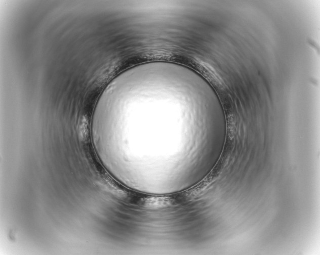 X0000093160077200710241028