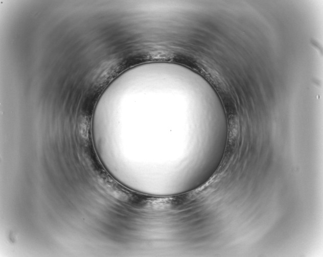 X0000093160078200710241028