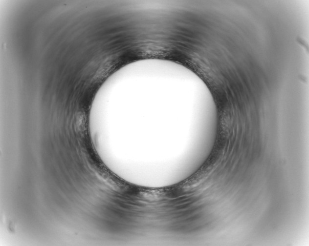 X0000093160079200710241028