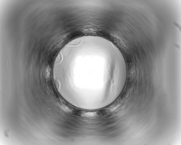 X0000093160081200710241028