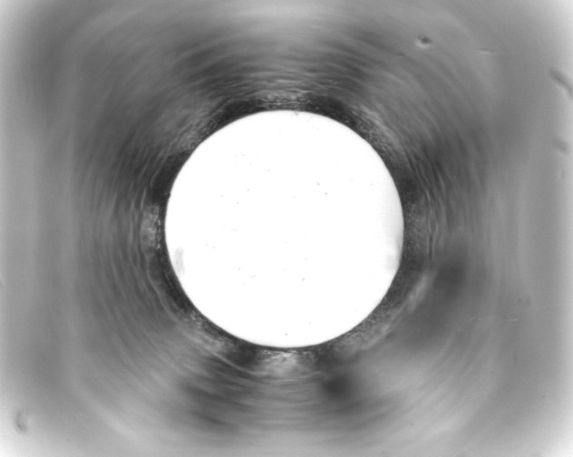 X0000093160083200710241028