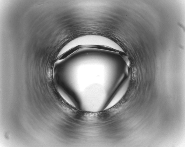 X0000093160084200710241028