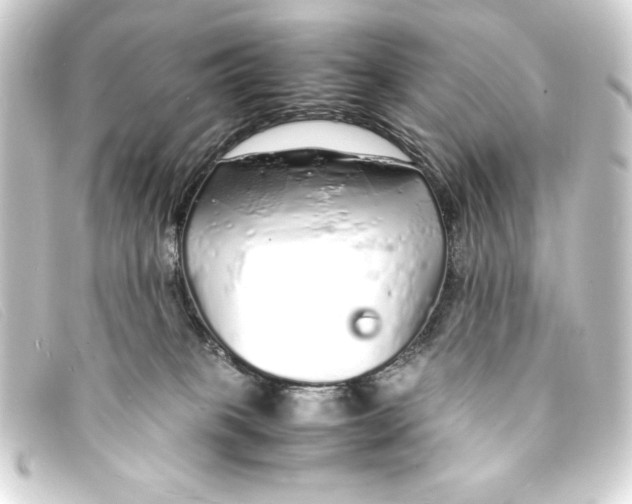X0000093160085200710241028