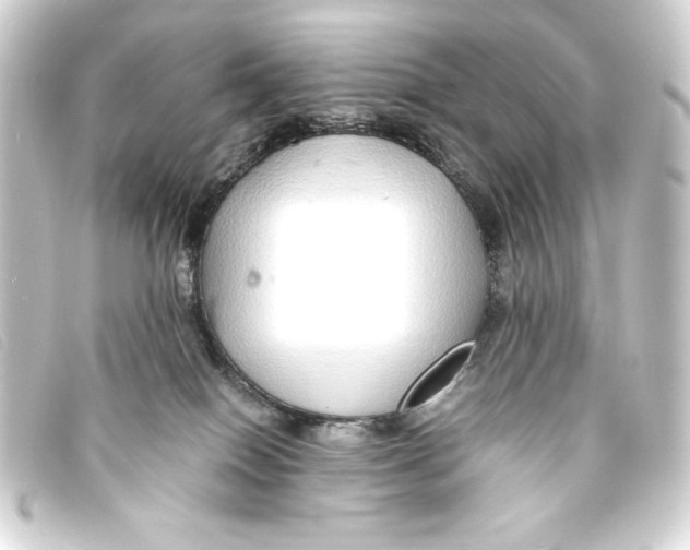 X0000093160086200710241028