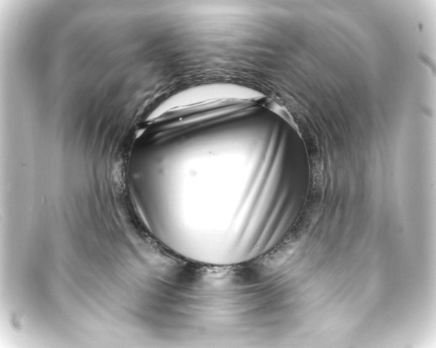X0000093160088200710241028