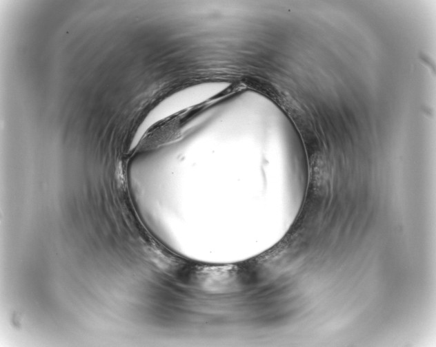 X0000093160089200710241028