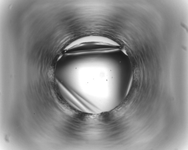 X0000093160092200710241028