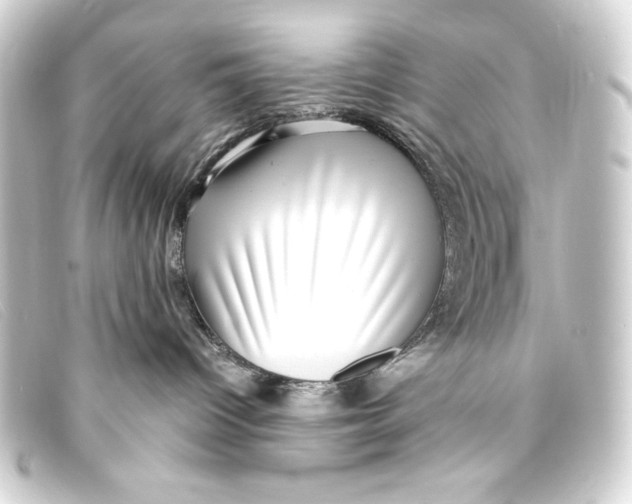 X0000093160096200710241028