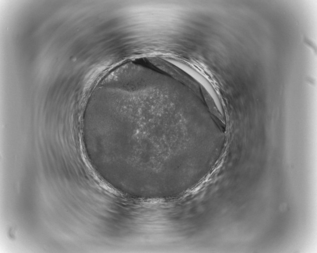 X0000093160097200710241028
