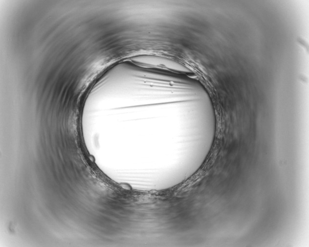 X0000093160098200710241028