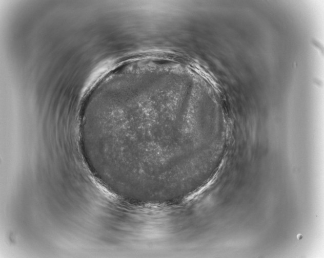 X0000093160101200710241028