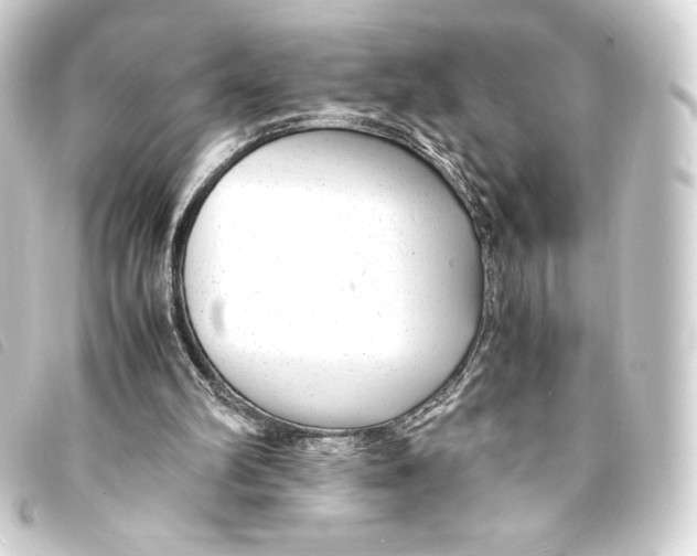 X0000093160102200710241028