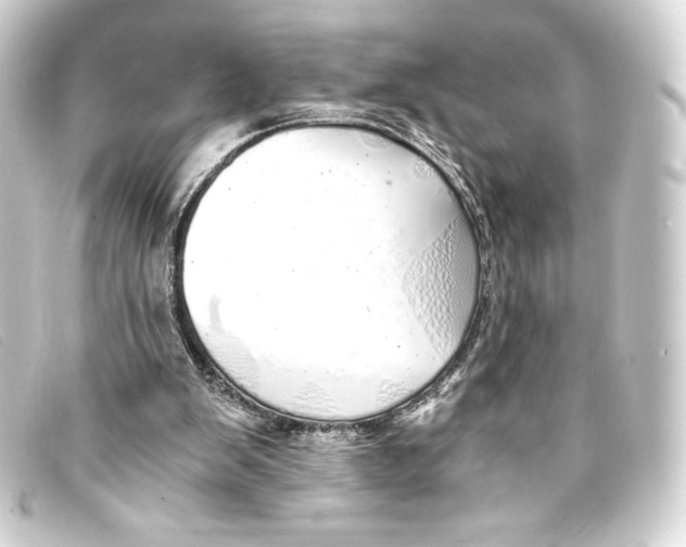 X0000093160103200710241028